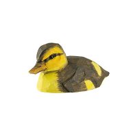 Gräsand unge träfågel