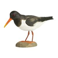 Strandskata träfågel